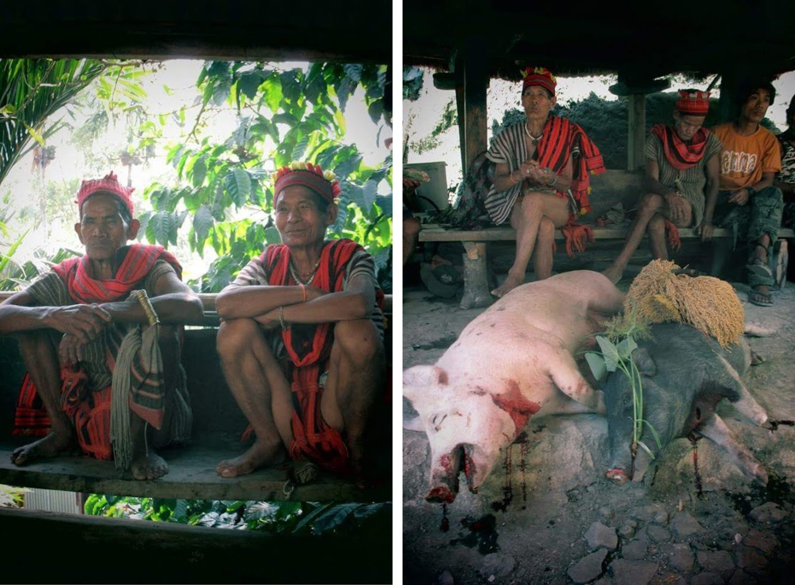 Good Housekeeping: The Batad Kadangyan Ethnic Lodges Project - Kanto ...