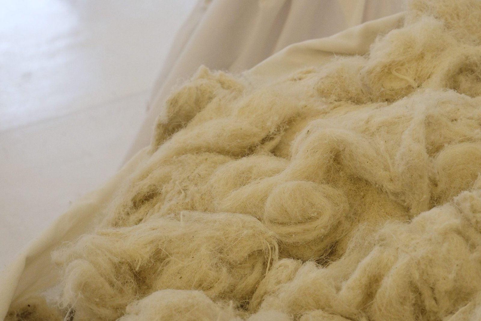 Hiblatech Selena Placino Jasser Aguila Elou Dee Javier Marc Carcillar Kanto.PH