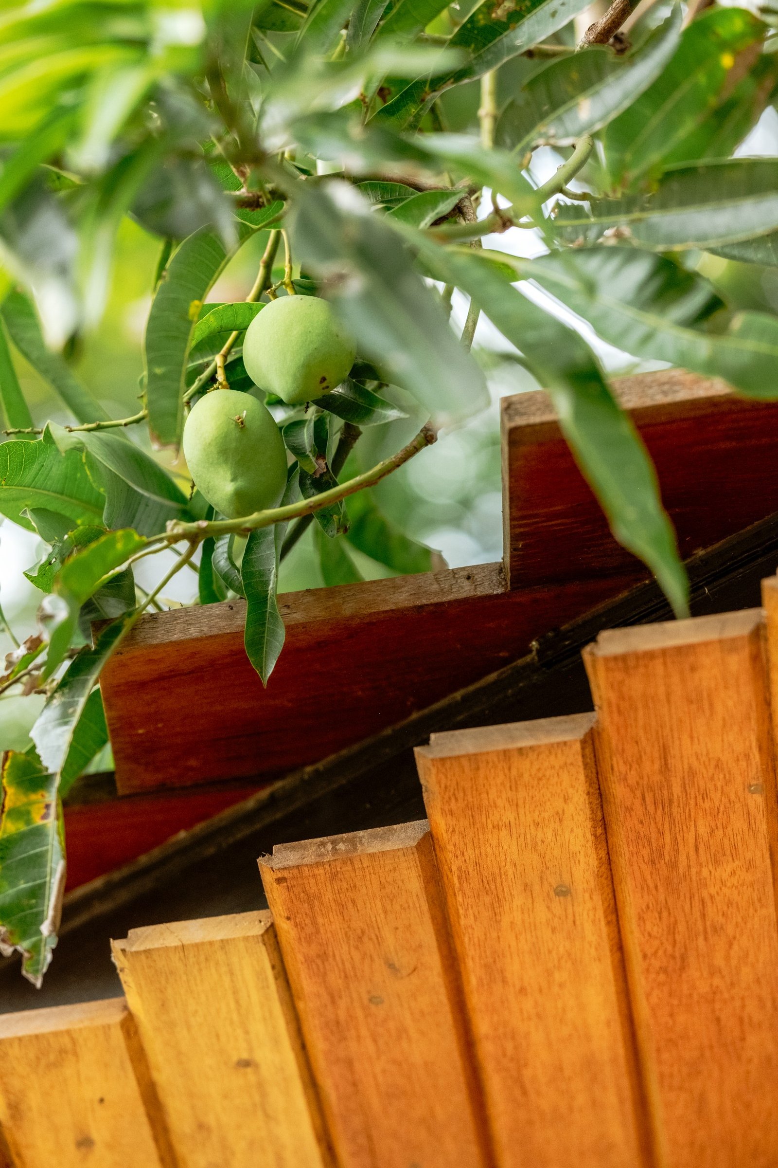 &Matcha MLA at Home Kanto.PH