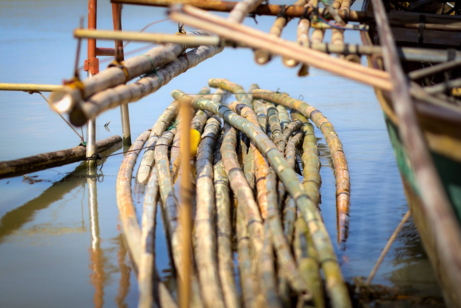 Maytubig Karl Castro Eldry Infante Mede Studio Benilde OPEN Kanto.PH