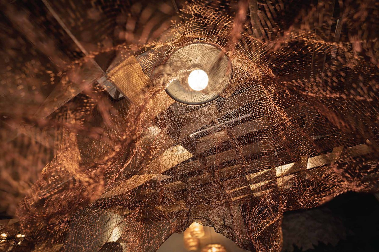 Ong Cen Kuang Budiman Ong Kanto.PH