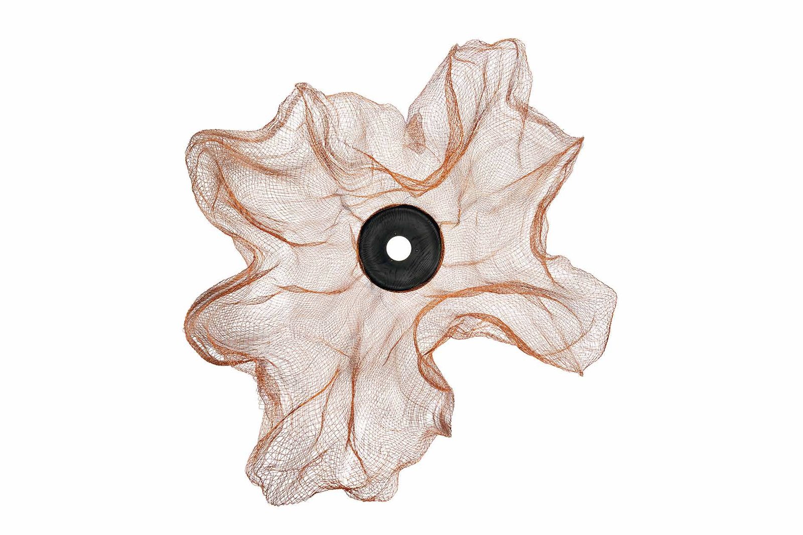 Ong Cen Kuang Budiman Ong Kanto.PH