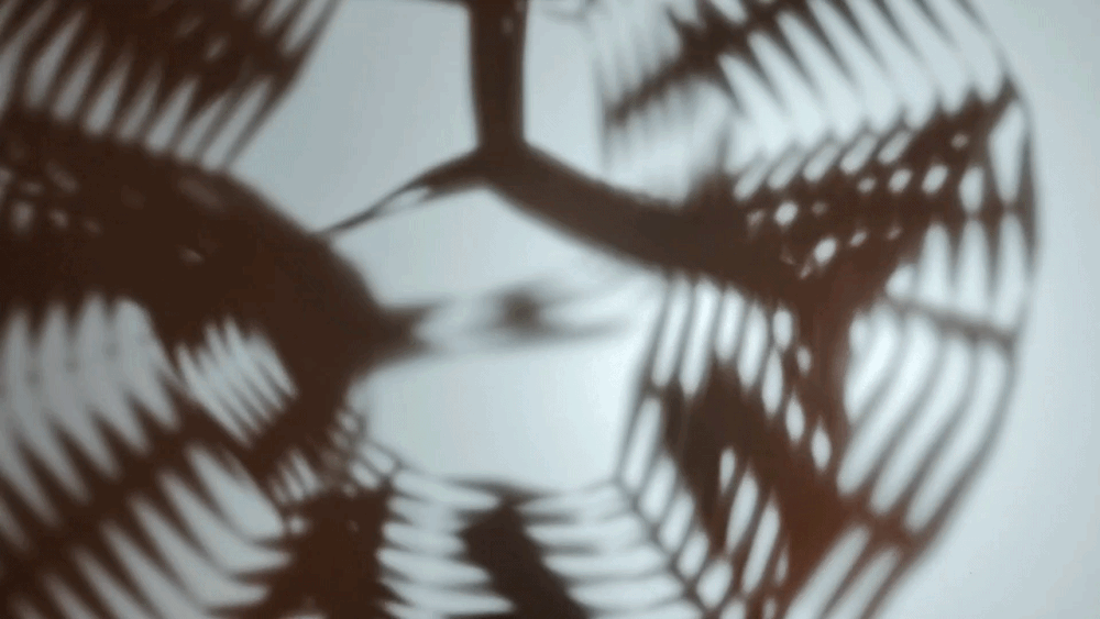 Olafur Eliasson Your curious journey Kanto.PH
